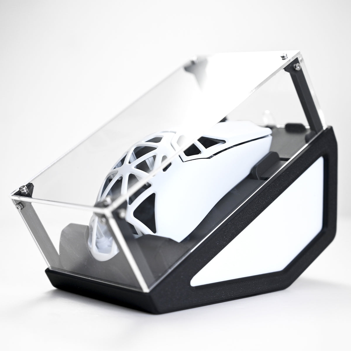 Mice Window Display Mouse Display Case – Arbiter Studio