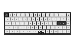 Polar 65 PRO — KITSUNE