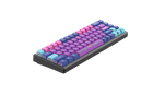 Neo Tokyo Polar 65