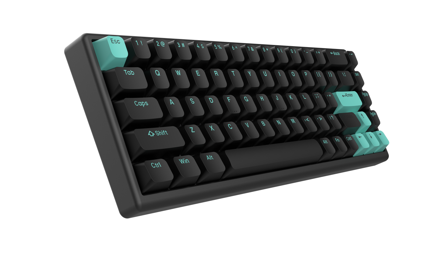 Polar 65 HE Dual Rail Gaming Keyboard Arbiter Studio