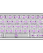 Polar 65 HE Dual Rail - Phantom Series