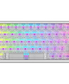 Polar 65 HE Dual Rail - Phantom Series