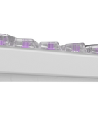 Polar 65 HE Dual Rail - Phantom Series