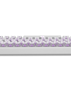Polar 65 HE Dual Rail - Phantom Series