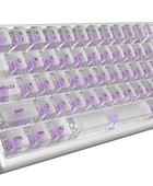 Polar 65 HE Dual Rail - Phantom Series