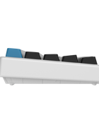 Polar 65 HE - Magnetic Gaming Keyboard