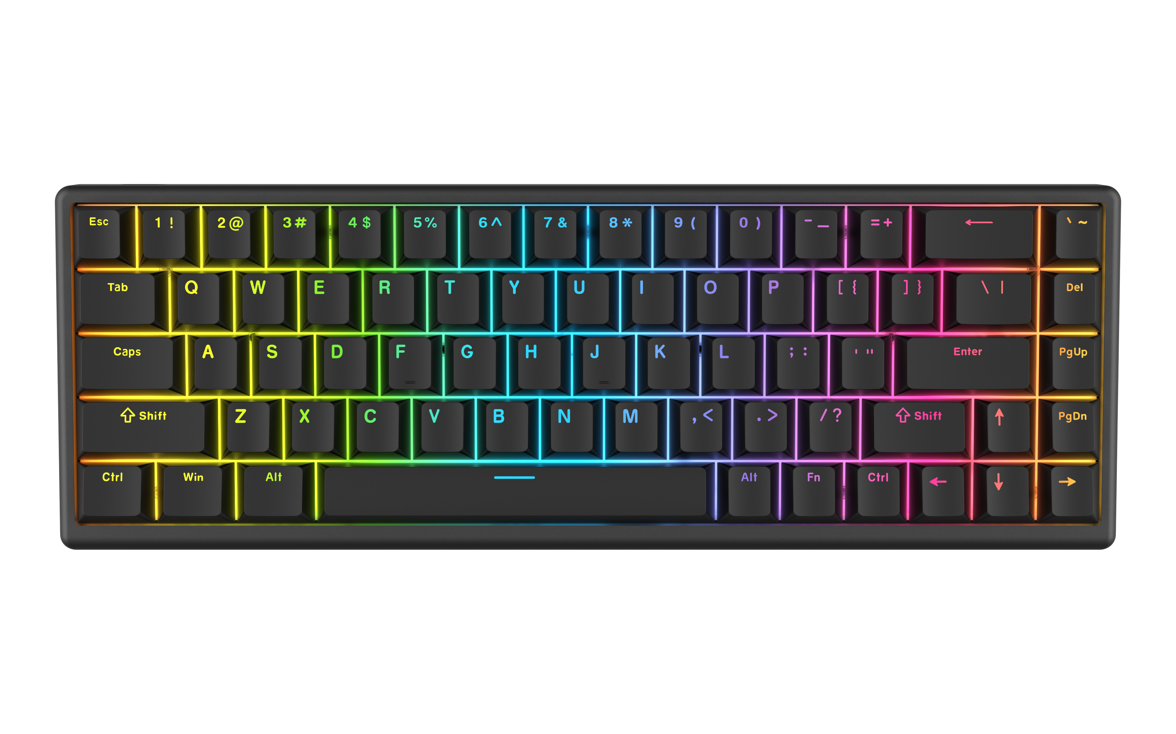 Neo Tokyo Polar 65 – Arbiter Studio
